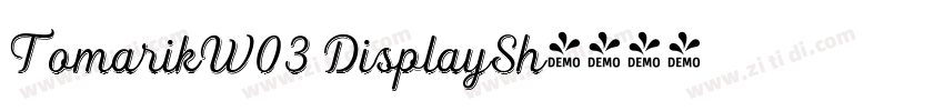 TomarikW03 DisplaySh字体转换